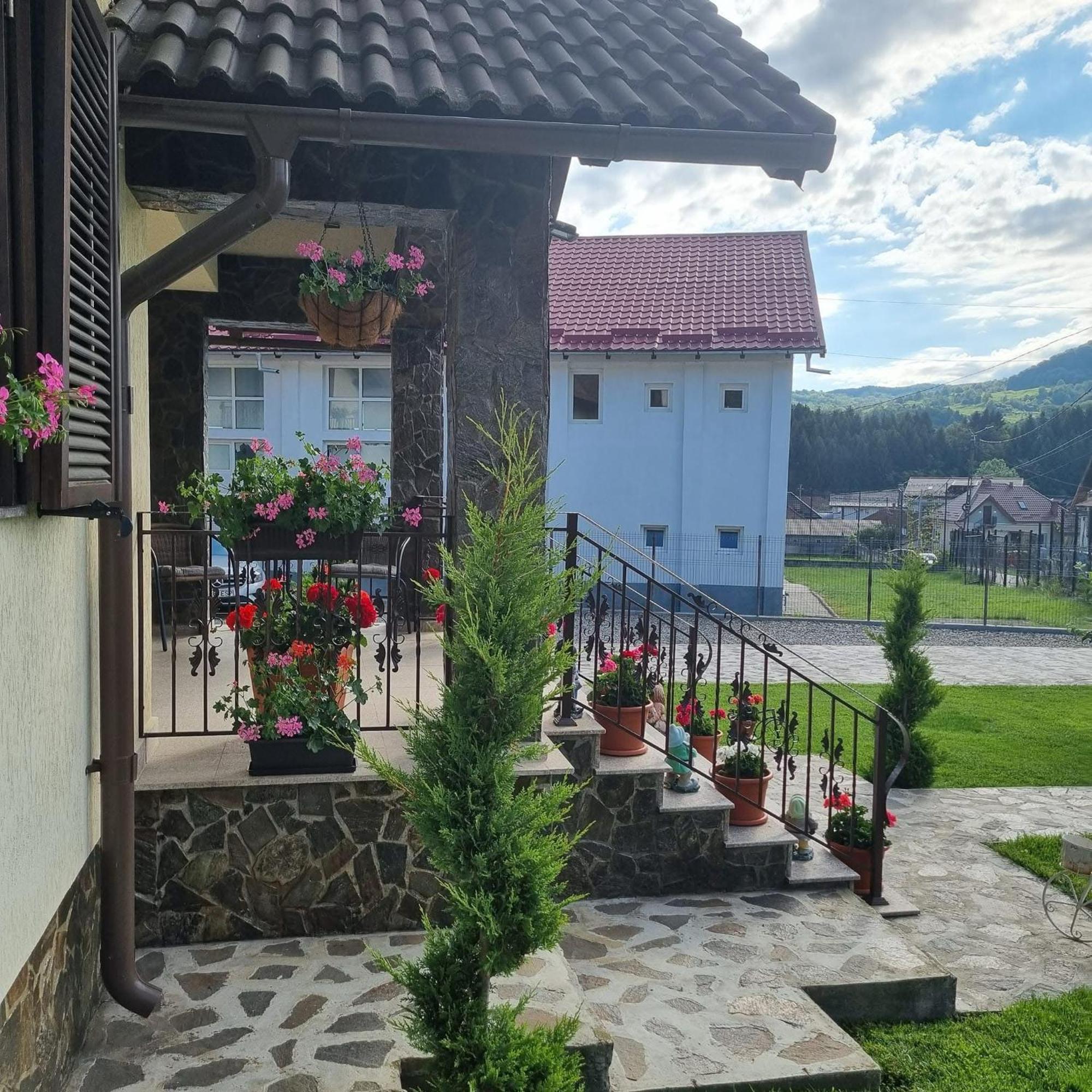 Pensiunea Select Куртя-де-Арджеш Экстерьер фото